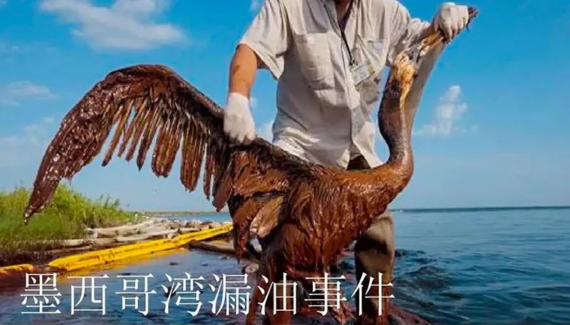 被海上溢油“染黑”的海岸线JDB电子试玩平台环保热解技术助力守护海洋生命线